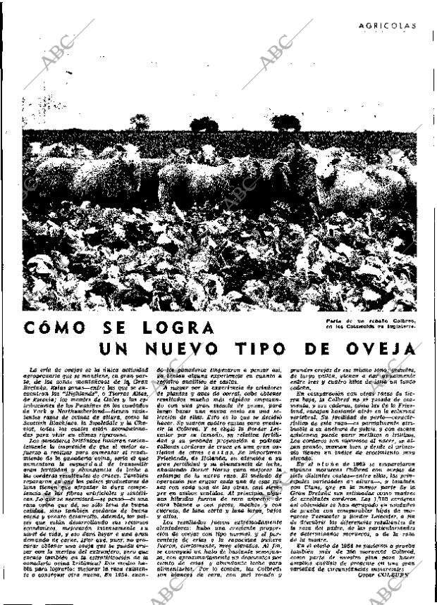 ABC MADRID 28-05-1965 página 61