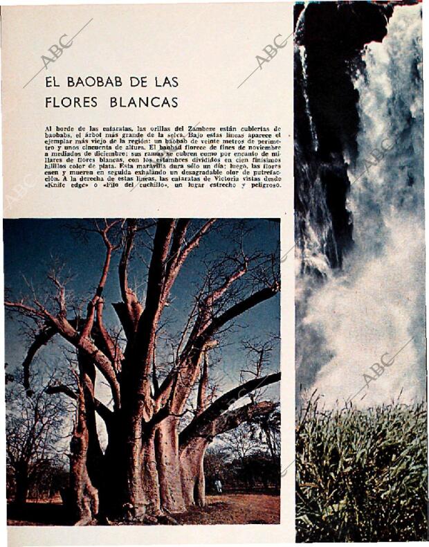 BLANCO Y NEGRO MADRID 05-06-1965 página 68