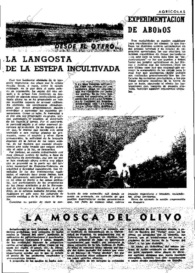 ABC MADRID 02-07-1965 página 29