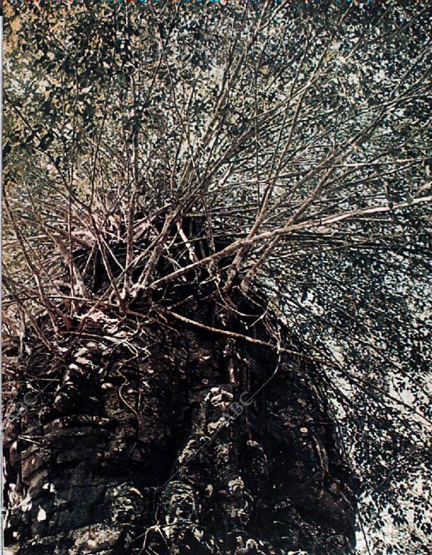 BLANCO Y NEGRO MADRID 03-07-1965 página 63