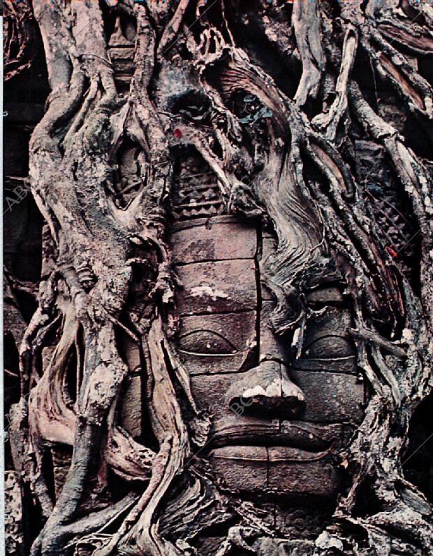 BLANCO Y NEGRO MADRID 03-07-1965 página 69