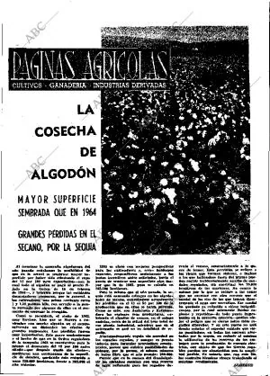 ABC MADRID 09-07-1965 página 19