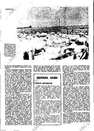 ABC MADRID 16-07-1965 página 25