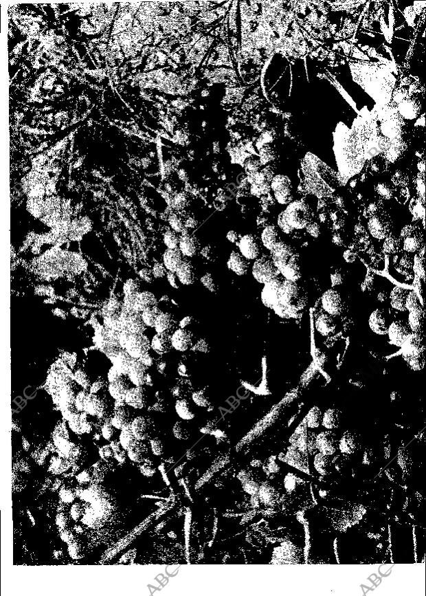 ABC MADRID 20-07-1965 página 23