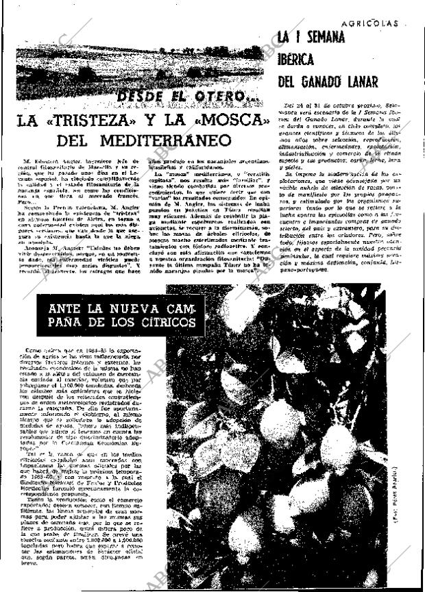 ABC MADRID 30-07-1965 página 25