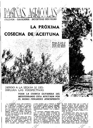 ABC MADRID 06-08-1965 página 14