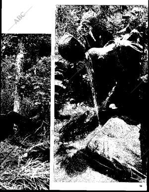 BLANCO Y NEGRO MADRID 07-08-1965 página 13