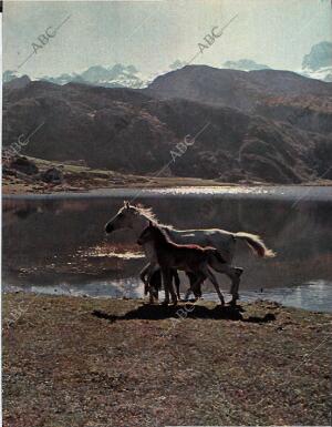 BLANCO Y NEGRO MADRID 07-08-1965 página 63