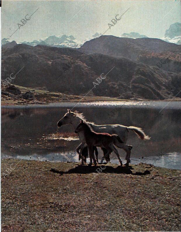 BLANCO Y NEGRO MADRID 07-08-1965 página 63