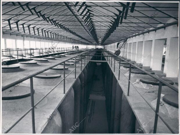 Bodegas de Socuellamos