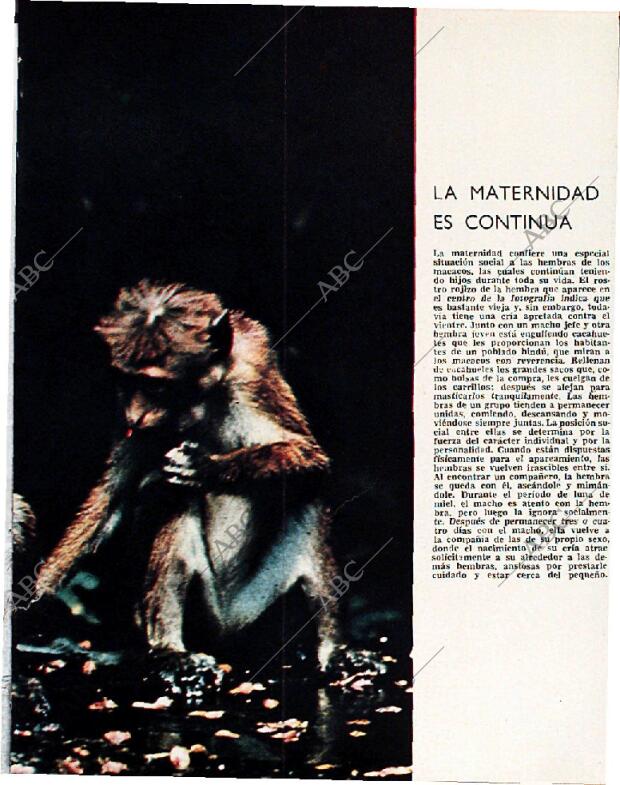 BLANCO Y NEGRO MADRID 02-10-1965 página 73