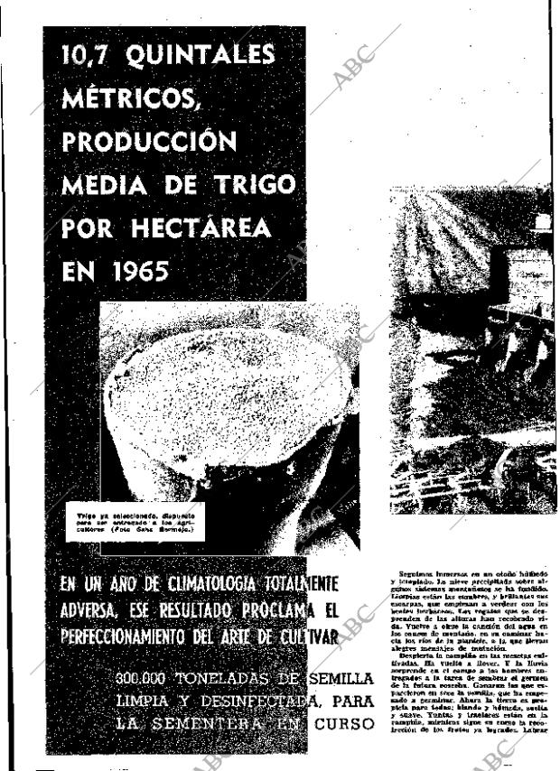 ABC MADRID 08-10-1965 página 42