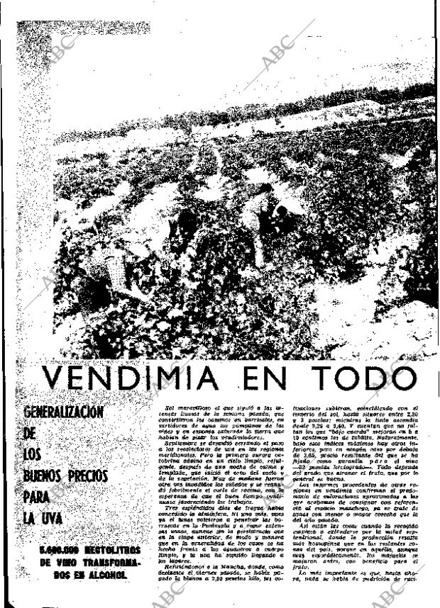 ABC MADRID 08-10-1965 página 50