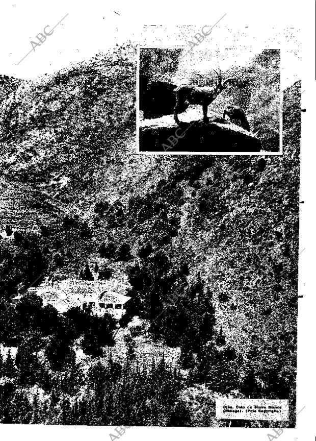 ABC MADRID 12-10-1965 página 19