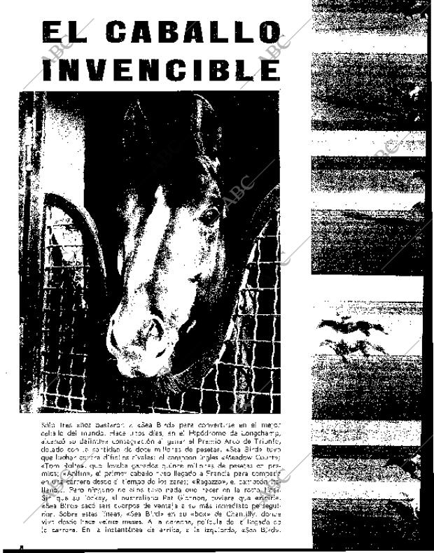 BLANCO Y NEGRO MADRID 23-10-1965 página 8