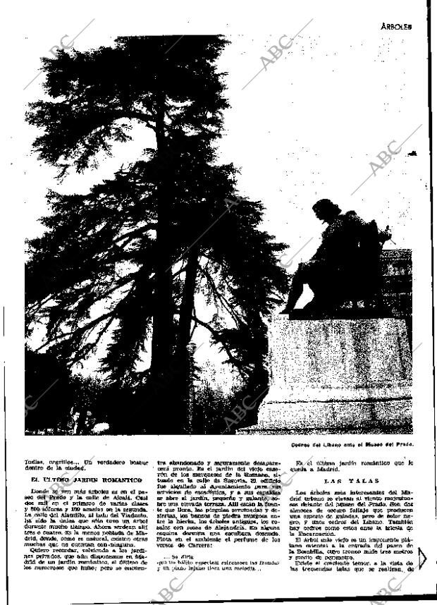 ABC MADRID 02-11-1965 página 19