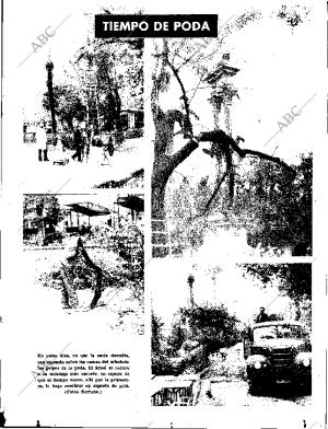 ABC SEVILLA 19-11-1965 página 13