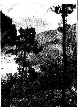 ABC MADRID 01-12-1965 página 27