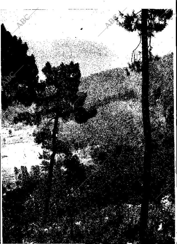 ABC MADRID 01-12-1965 página 27