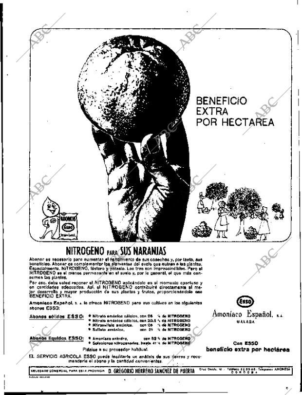 ABC SEVILLA 11-12-1965 página 19