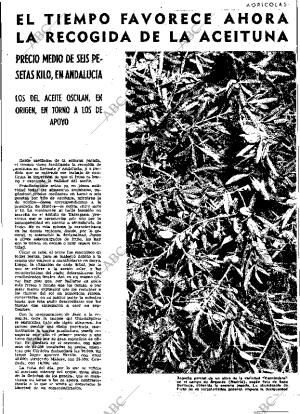 ABC MADRID 17-12-1965 página 47