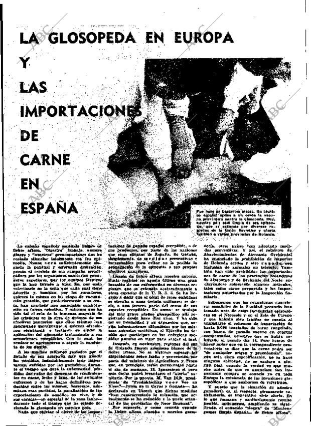 ABC MADRID 17-12-1965 página 51
