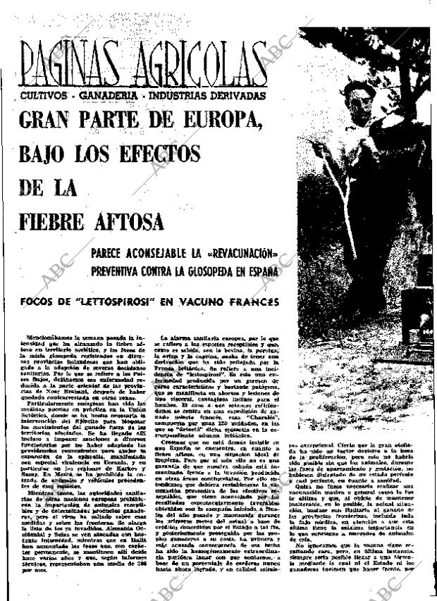 ABC MADRID 24-12-1965 página 42