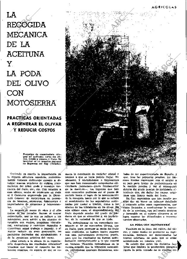 ABC MADRID 24-12-1965 página 55