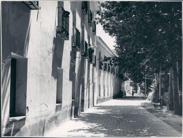 Calle de la población de Trillo