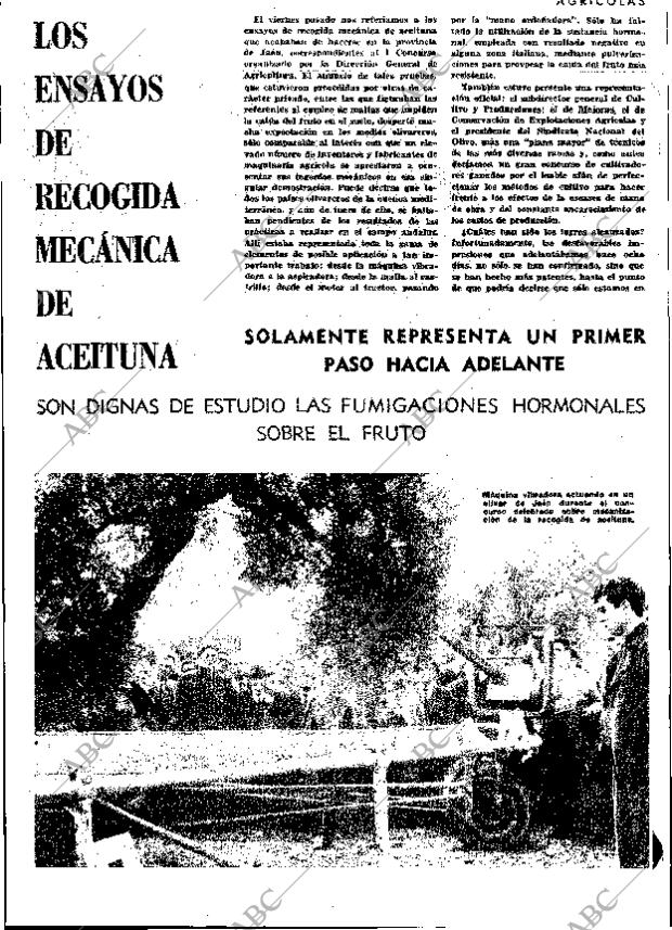 Periódico MADRID 31-12-1965,portada - Archivo ABC