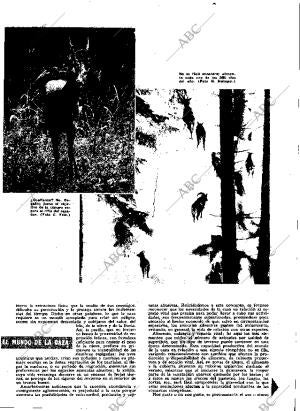 ABC MADRID 01-01-1966 página 21