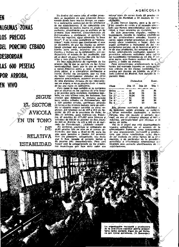 ABC MADRID 07-01-1966 página 25
