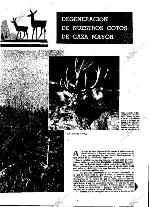 ABC MADRID 15-01-1966 página 23