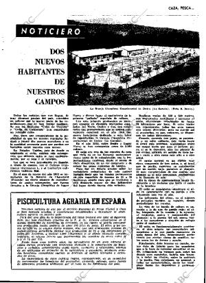 ABC MADRID 15-01-1966 página 29