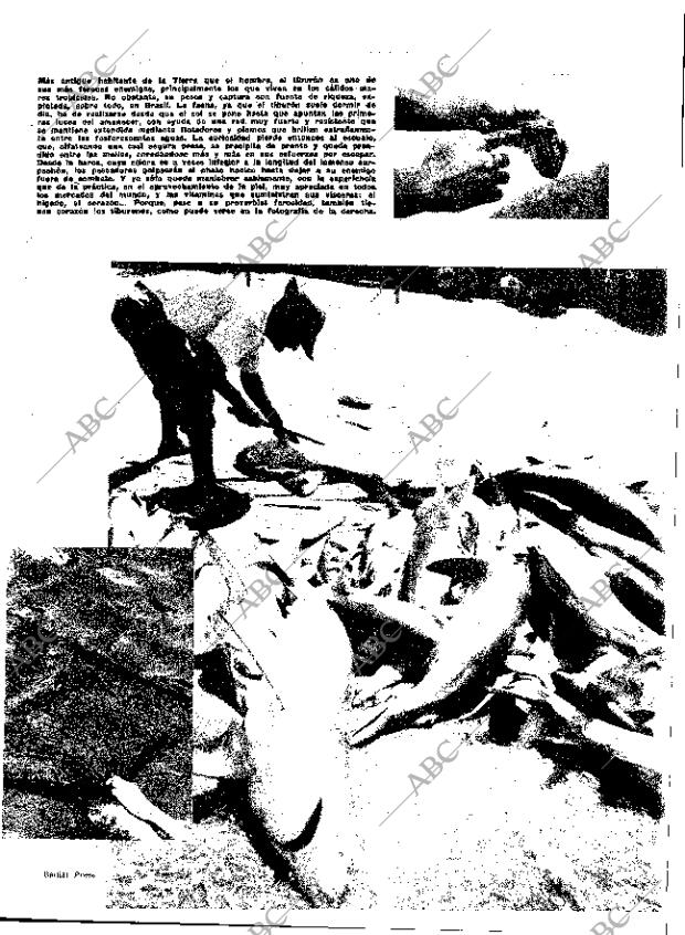 ABC MADRID 22-01-1966 página 21