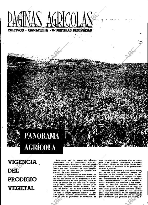 ABC MADRID 11-02-1966 página 20