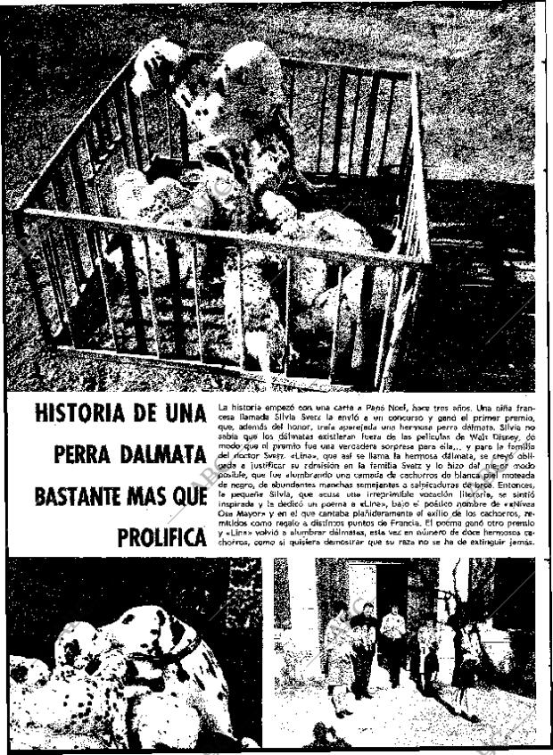 BLANCO Y NEGRO MADRID 12-02-1966 página 84