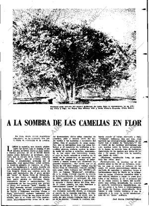 ABC MADRID 23-02-1966 página 13