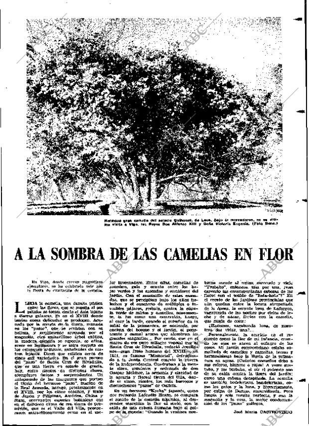 ABC MADRID 23-02-1966 página 13