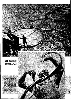 ABC MADRID 17-04-1966 página 47
