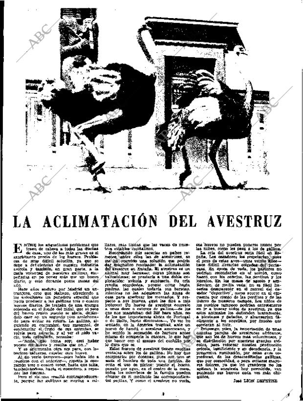 ABC SEVILLA 20-04-1966 página 51