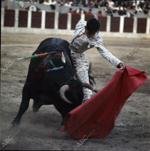 Alternativa de Sebastián Palomo Linares en Valladolid