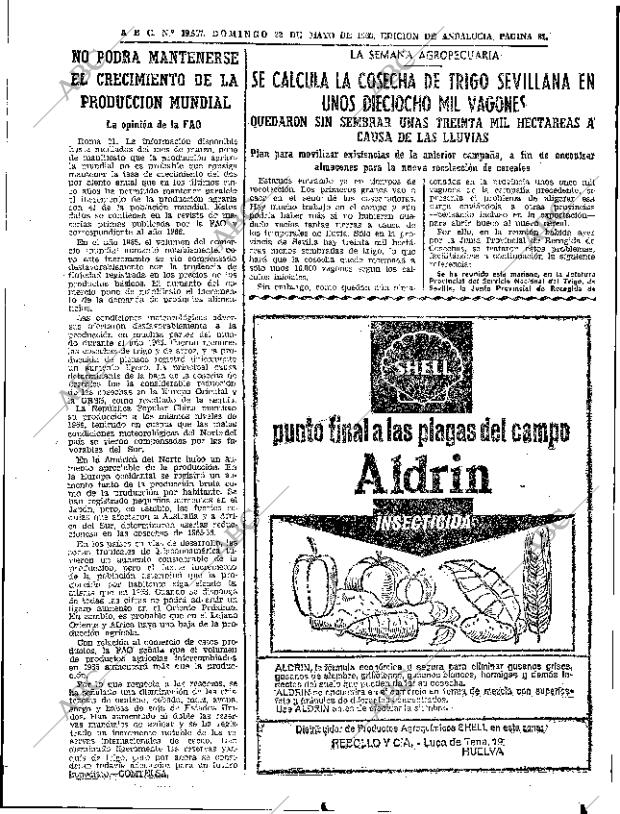 ABC SEVILLA 22-05-1966 página 81