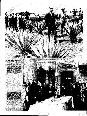 ABC SEVILLA 25-05-1966 página 5