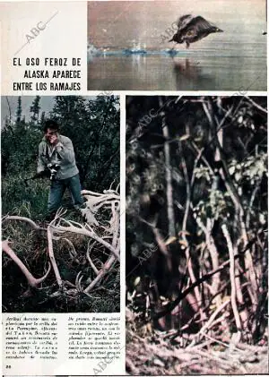 BLANCO Y NEGRO MADRID 18-06-1966 página 28