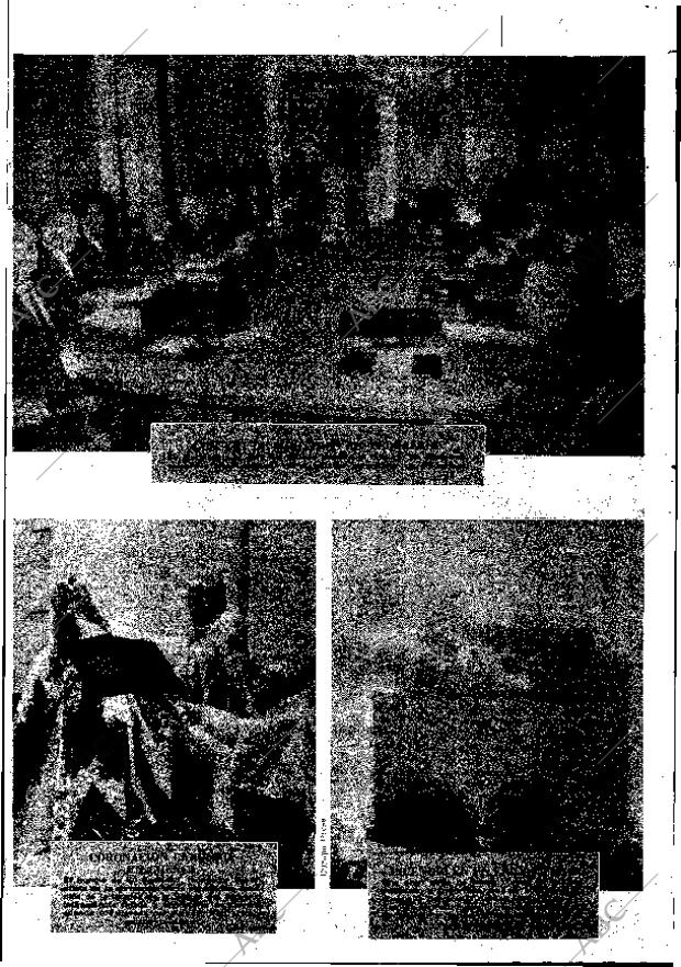 ABC MADRID 29-06-1966 página 5
