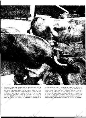 BLANCO Y NEGRO MADRID 23-07-1966 página 31