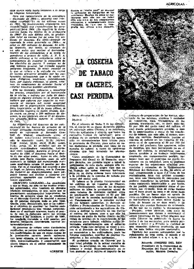 ABC MADRID 29-07-1966 página 25