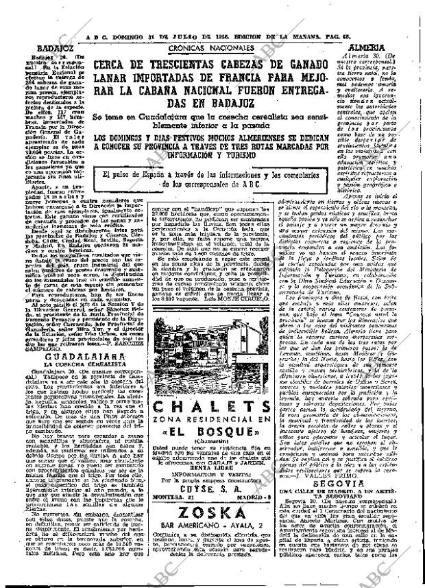 ABC MADRID 31-07-1966 página 65