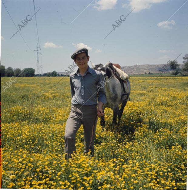 Alameda de la Sagra (Toledo), septiembre de 1966